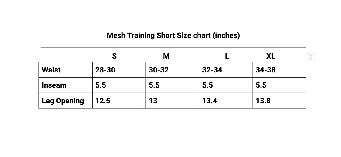 Mesh Training Shorts